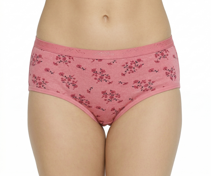 AACHAL Mid Rise Hipster Panties – Pack of 3