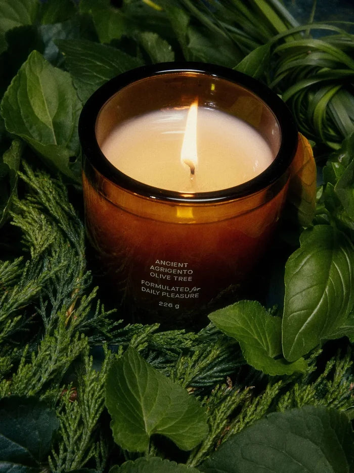 Flamingo Estate – Ancient Agrigento Olive Tree Candle