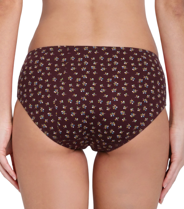 Highrise Plus Size Cotton Hipster Panties– Pack of 3