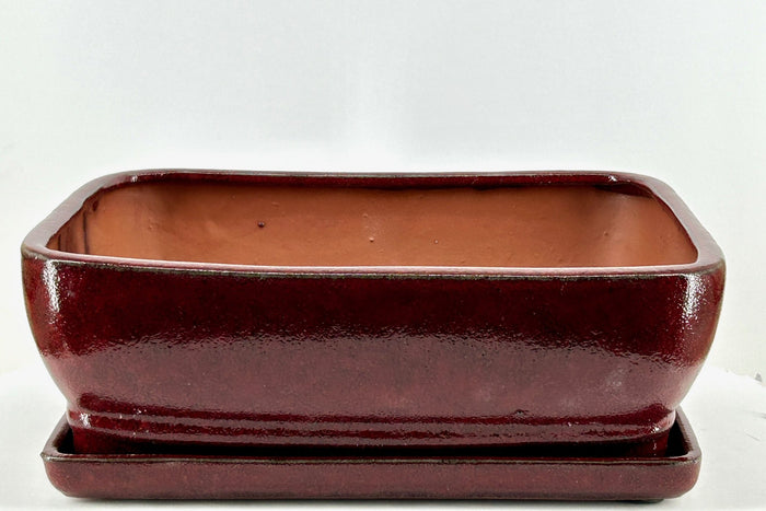 Parisian Red Rectangle Ceramic Bonsai Pot-With Humidity / Drip Tray
