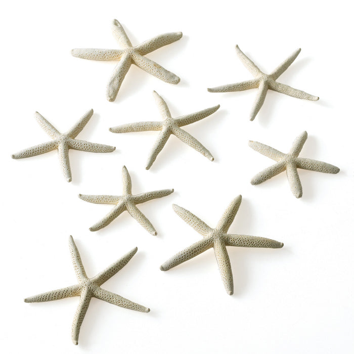 White Finger Starfish in Mesh Bag (Set of 10)