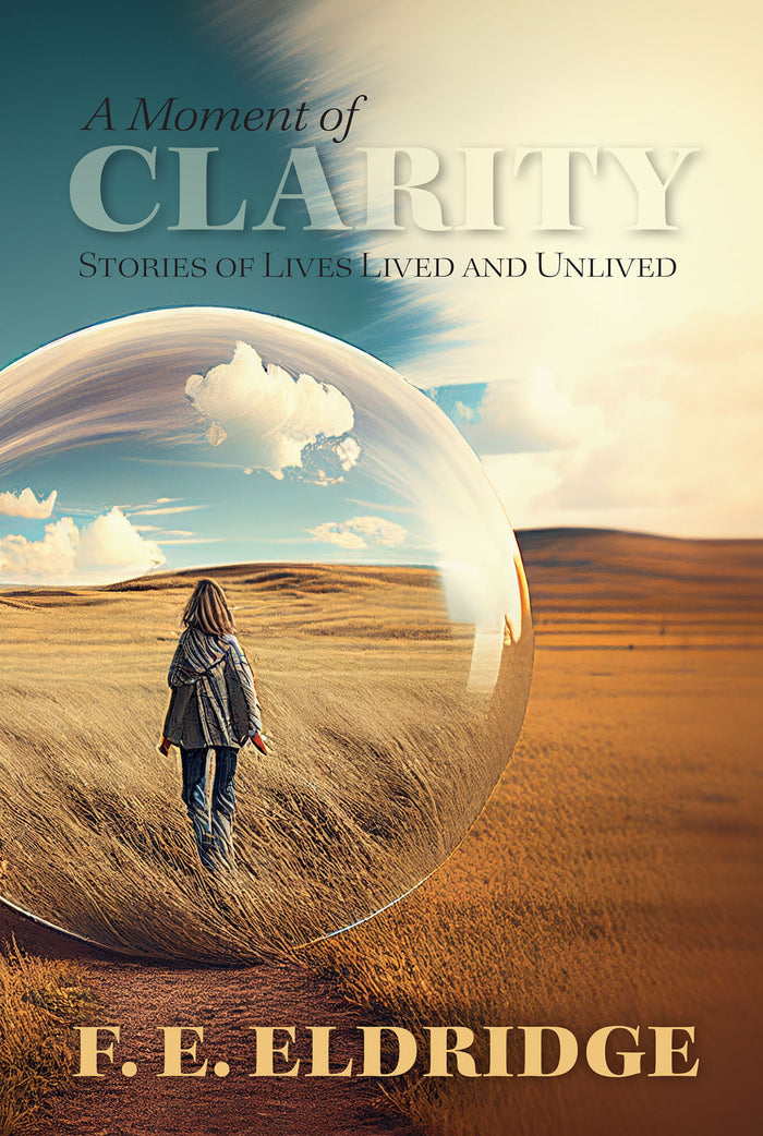 YNWP - A Moment of Clarity by F.E. Eldridge  (Your Nickel's Worth Publishing)